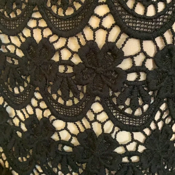 Philosophy Alberta Ferreti Lace Dress. Sz 10 - Picture 6 of 6